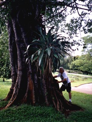 bslanka-l.jpg, 43 kB