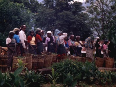 bslanka-n.jpg, 34 kB