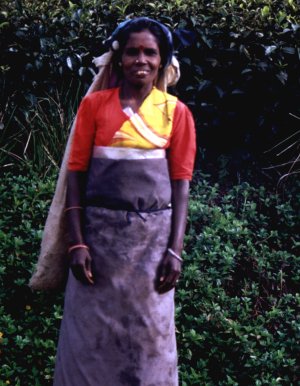 bslanka-o.jpg, 34 kB