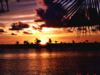paradise-e.jpg