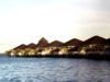 paradise-h.jpg