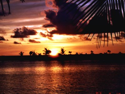 paradise-e.jpg, 28 kB