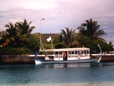 paradise-g.jpg, 29 kB