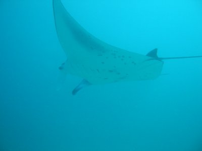 Img_0605.jpg, 6 kB
