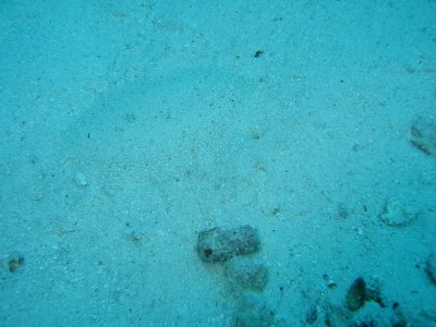 Img_0792.jpg, 25 kB