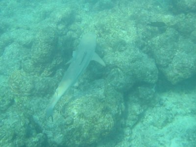 Img_0884.jpg, 22 kB