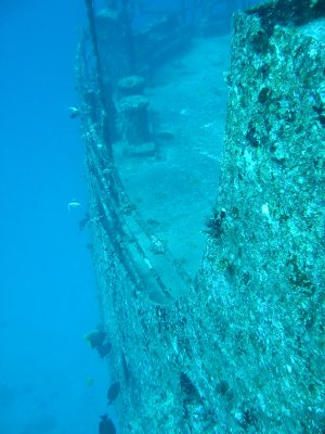 Img_0910.jpg, 28 kB