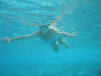 Img_0948.jpg, 16 kB