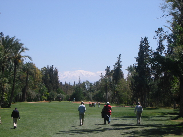 IMG_6152.JPG