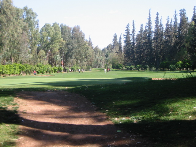 IMG_6153.JPG