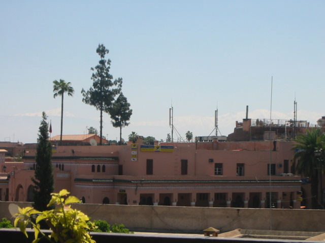 IMG_6231.JPG