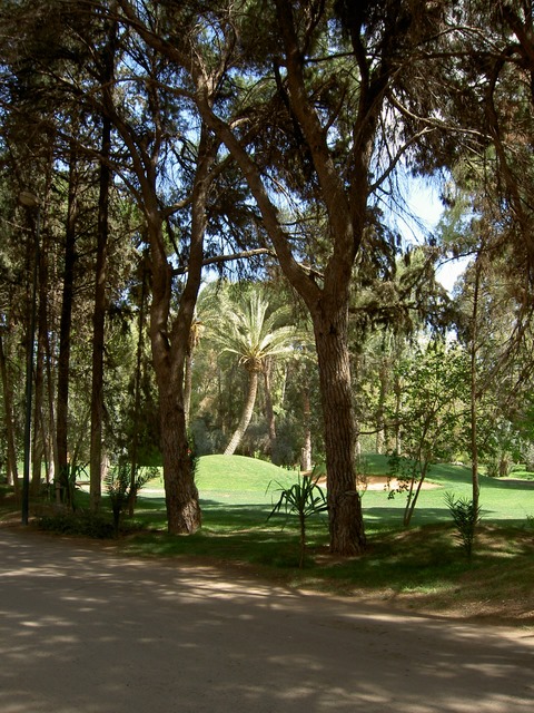 PICT2607.JPG