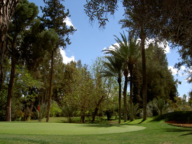 PICT2608.JPG