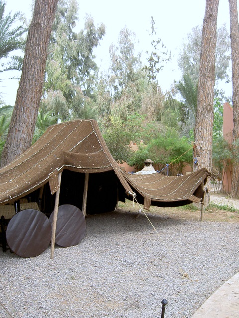 PICT2616.JPG