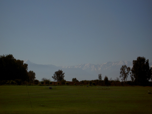 PICT2628.JPG