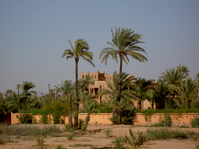 PICT2716.JPG
