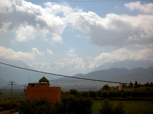 PICT2753.JPG