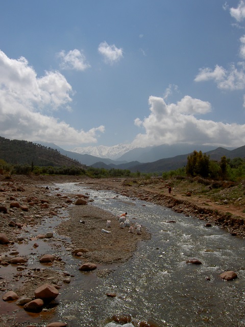 PICT2764.JPG