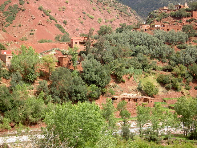 PICT2777.JPG