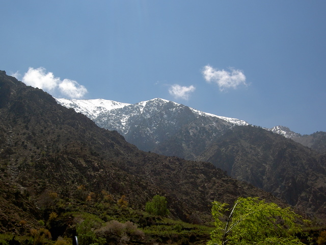 PICT2796.JPG