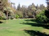 IMG_6155.JPG