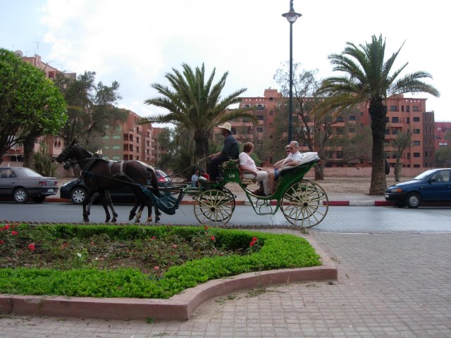 DSCN0645.jpg