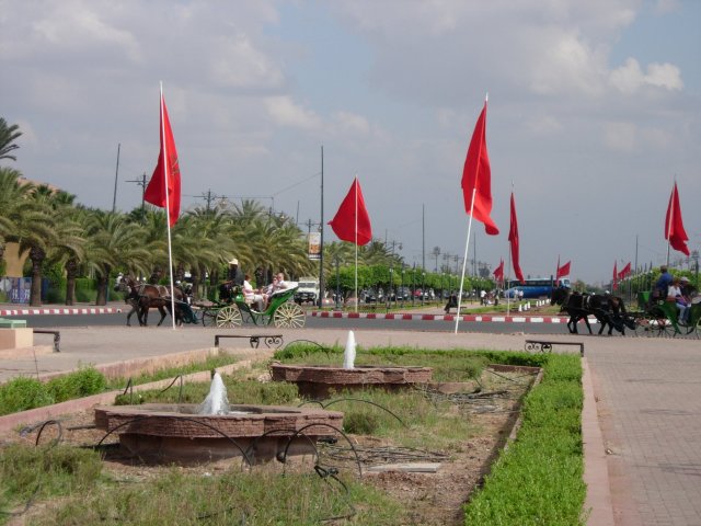 DSCN0647.jpg