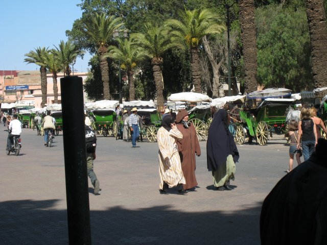 IMG_4641.jpg
