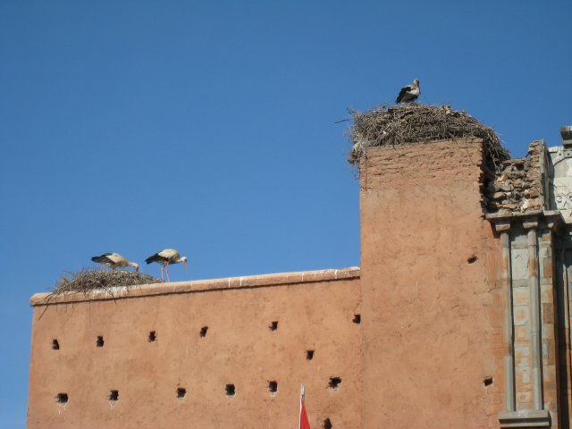 IMG_4647.jpg