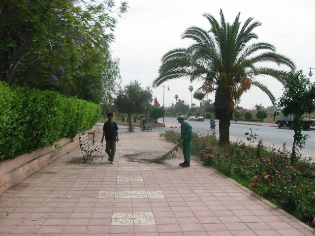 Img_6804.jpg
