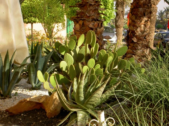 Pict3141.jpg