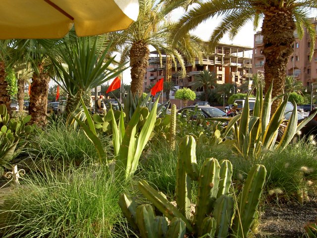Pict3142.jpg