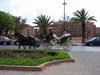 DSCN0645.jpg