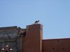 DSCN0678.jpg