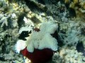 Img_1895.jpg