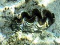 Img_1898.jpg