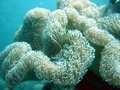 Img_1920.jpg