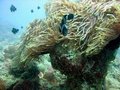 Img_1921.jpg
