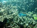 Img_1960.jpg
