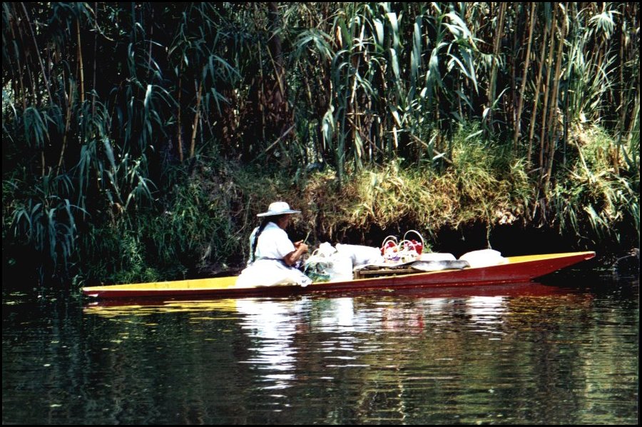 E3 Jardin Flottant5.jpg