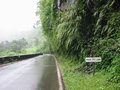 Img_1843.jpg