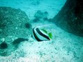 Img_1612.jpg