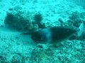 Img_1623.jpg