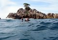Img_1625.jpg