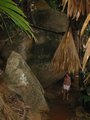 Img_1632.jpg