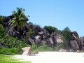 Img_1660.jpg