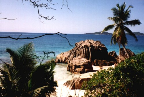 seychelles b.jpg