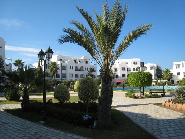 IMG_2713.jpg