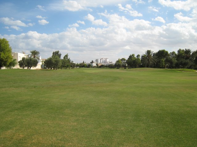 IMG_2744.jpg