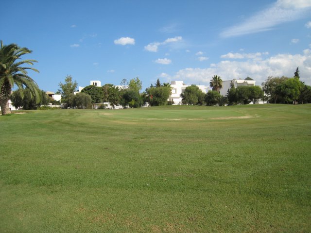 IMG_2745.jpg